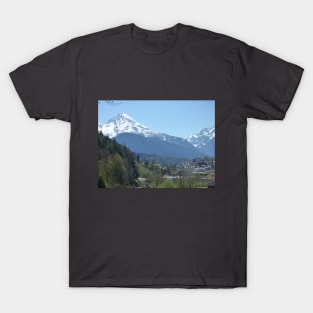 Alps 24 T-Shirt